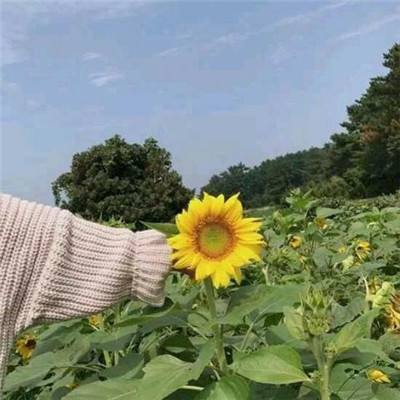 “本升专”的年轻人，比你想象中清醒
